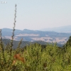 cachuma_5838