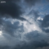 springfield_5877