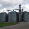 springfield_5880