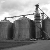 springfield_5881