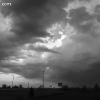 springfield_5882