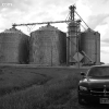 springfield_5885