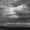 springfield_5886