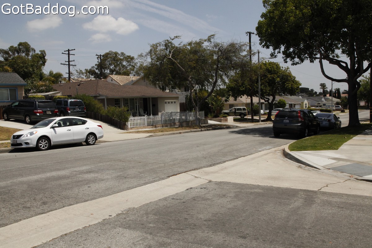 Torrance City Council Granicus Torrance City Council Granicus