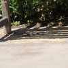 pontewinery_6659