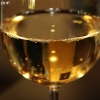 southcoastwine_6498