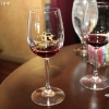 southcoastwine_6502
