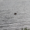 tetons_5781