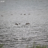 tetons_5782