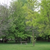 tippecanoe_6169