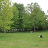 tippecanoe_6172