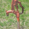 tippecanoe_6173