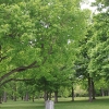 tippecanoe_6179