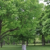 tippecanoe_6180