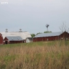 tippecanoe_6249