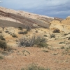 utah_8913