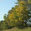 roadtrip_8154