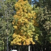 roadtrip_8188
