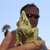 venice_7197