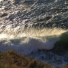 ptvicente_7786