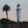 ptvicente_7851