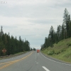 yellowstone_4788