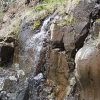 yellowstone_4796