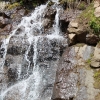 yellowstone_4797