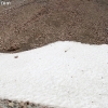 yellowstone_4801
