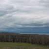 yellowstone_4811