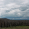 yellowstone_4812