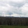 yellowstone_4814