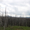 yellowstone_4815