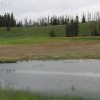 yellowstone_4831