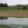 yellowstone_4832