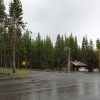 yellowstone_4859