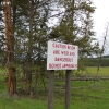 yellowstone_4864