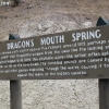 yellowstone_4876