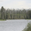 yellowstone_5769