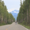 yellowstone_5770