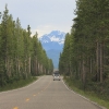 yellowstone_5771