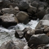yosemite_0866