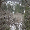 yosemite_0910