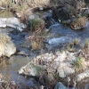 feb12_0033
