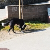 feb12_0037
