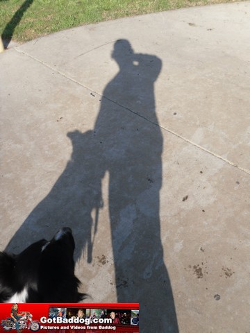 A shadow of myself
